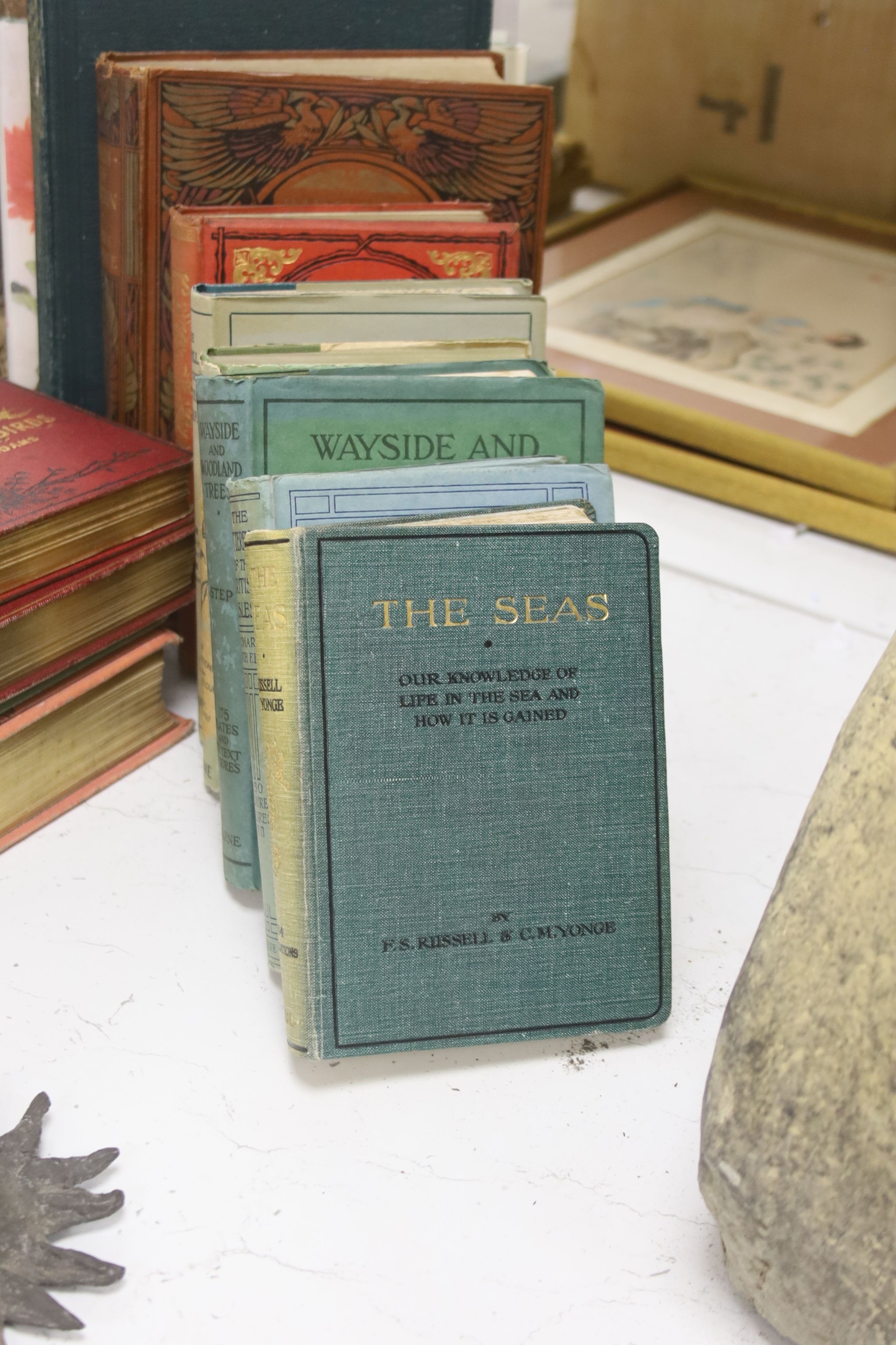 A collection of natural history books